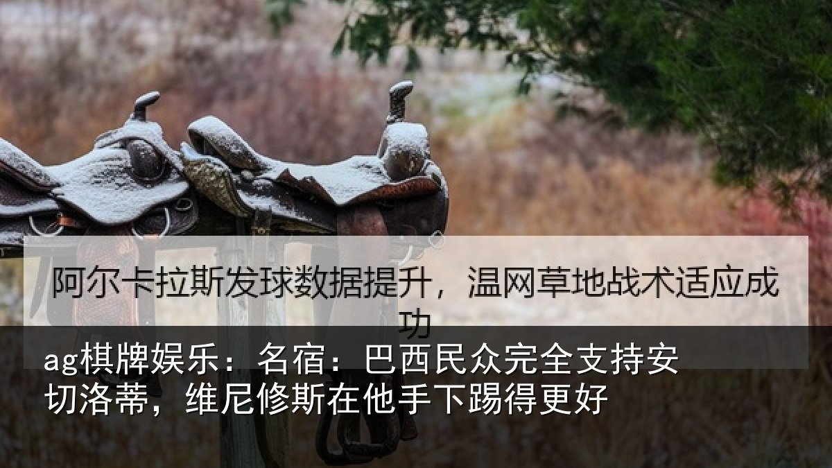 ag棋牌娱乐:名宿相关情况安切相关情况手下踢得更好
