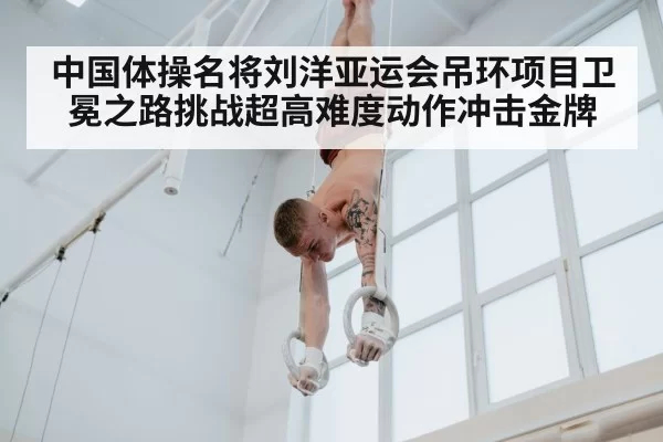 中国体操名将刘洋亚运会吊环项目卫冕之路挑战超高难度动作冲击金牌